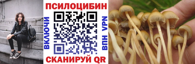Галлюциногенные грибы Cubensis  Пыть-Ях 